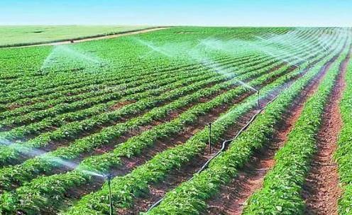 紫黑色粗大噗嗤捣出白沫视频农田高 效节水灌溉